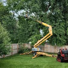 Best Lawn Mowing  in Cayuga Heights, NY